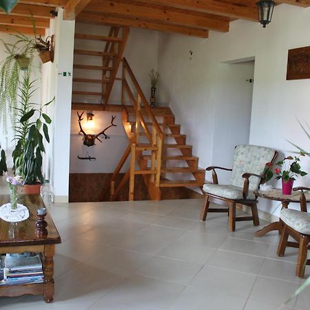 Casa Altius Felix Lägenhet Băile Felix Exteriör bild