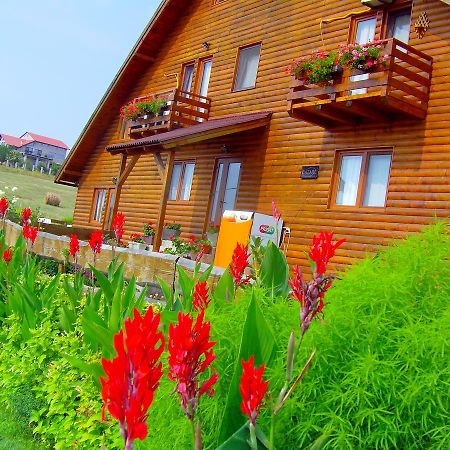 Casa Altius Felix Lägenhet Băile Felix Exteriör bild