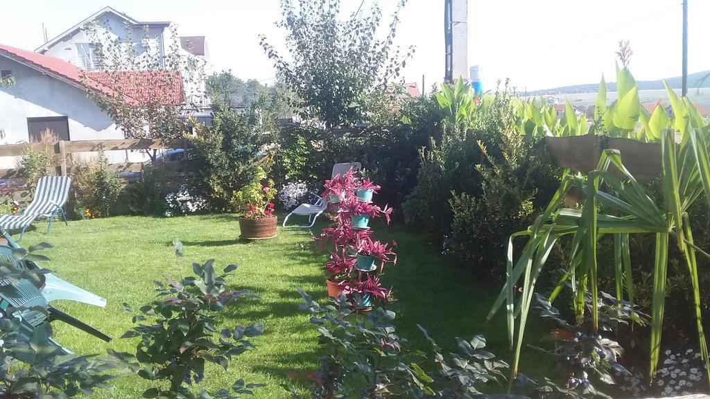 Casa Altius Felix Lägenhet Băile Felix Exteriör bild