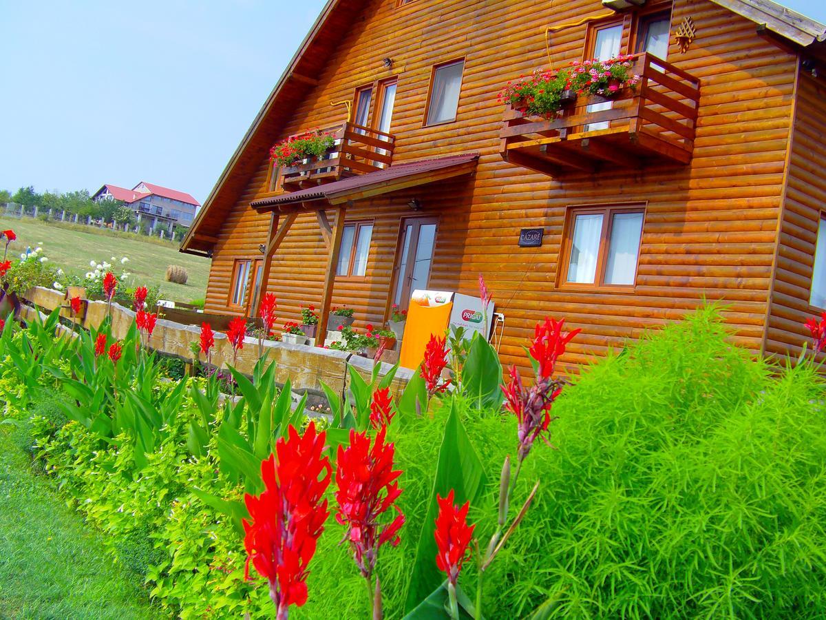 Casa Altius Felix Lägenhet Băile Felix Exteriör bild