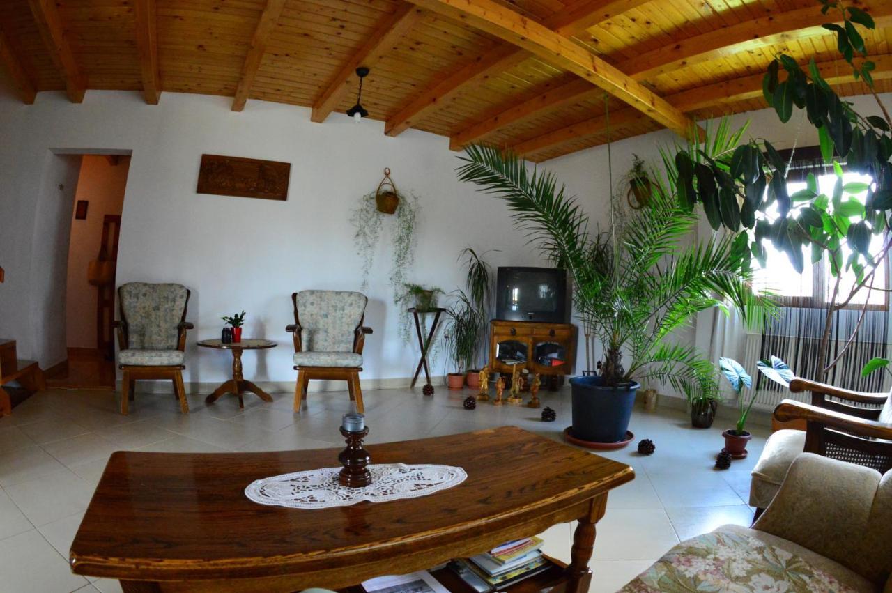 Casa Altius Felix Lägenhet Băile Felix Exteriör bild